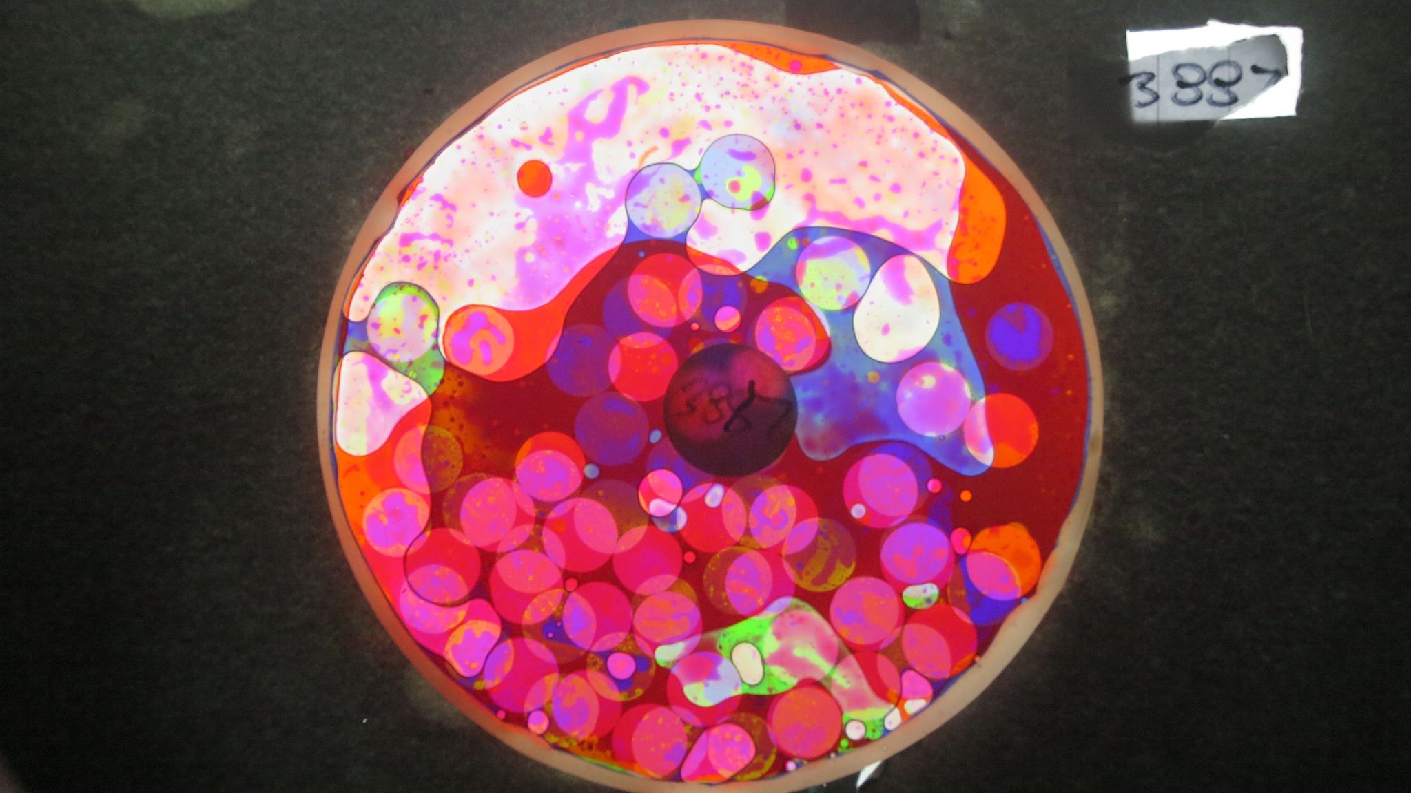 BV3887 bubble vision oil wheel